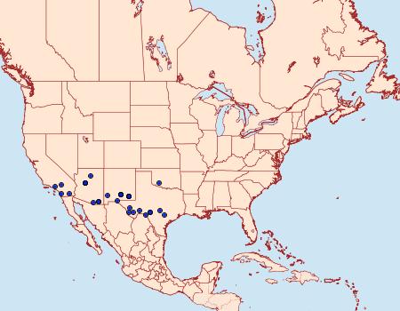 Distribution Data for Matigramma rubrosuffusa