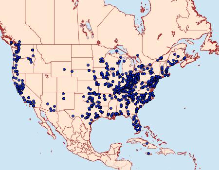 Distribution Data for Zale lunata