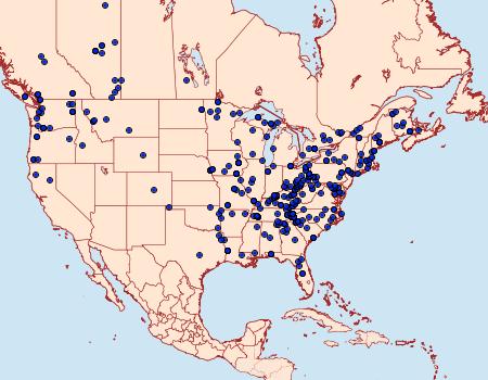 Distribution Data for Zale minerea