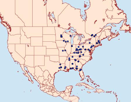 Distribution Data for Zale phaeocapna