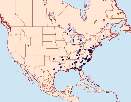 Distribution Data for Zale obliqua