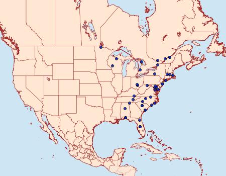 Distribution Data for Zale submediana