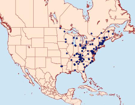 Distribution Data for Zale helata