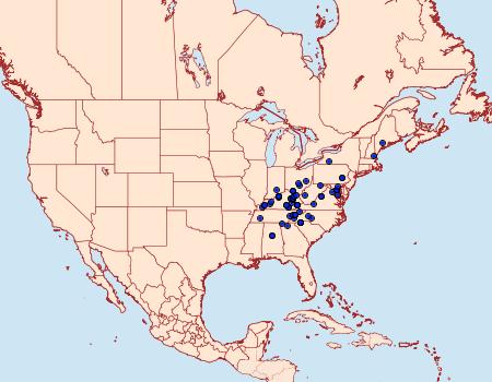 Distribution Data for Zale bethunei