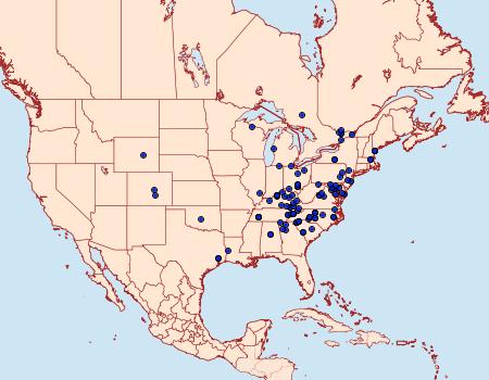 Distribution Data for Zale metatoides