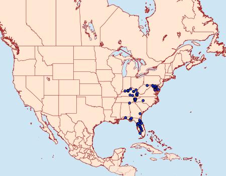 Distribution Data for Zale metata