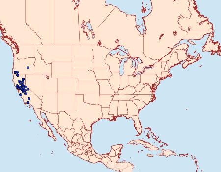 Distribution Data for Zale rubi