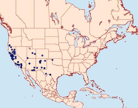 Distribution Data for Zale termina