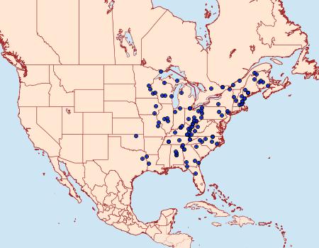 Distribution Data for Zale intenta