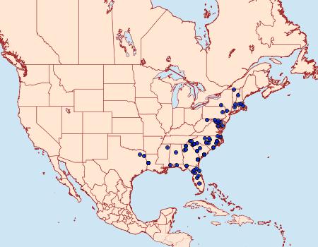 Distribution Data for Zale lunifera