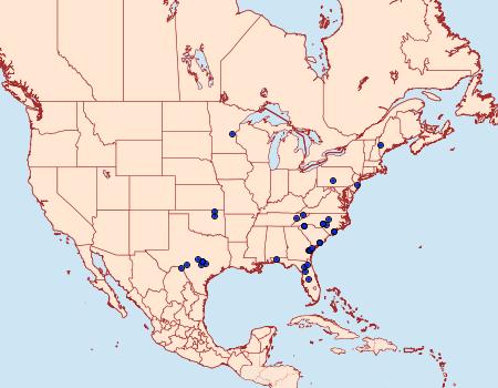 Distribution Data for Zale calycanthata