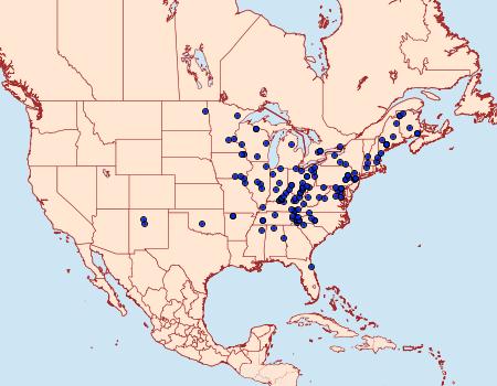 Distribution Data for Zale unilineata