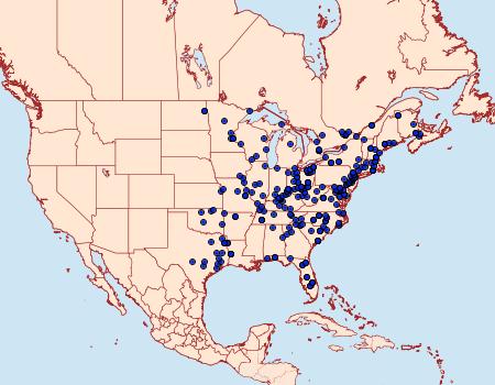 Distribution Data for Zale horrida