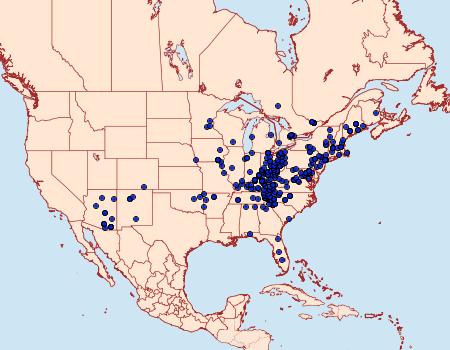 Distribution Data for Euparthenos nubilis