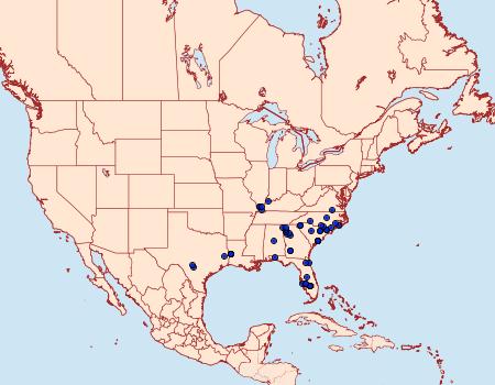 Distribution Data for Gondysia smithii