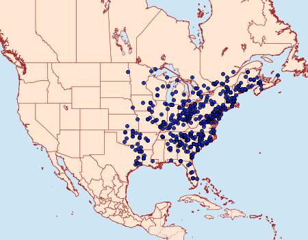 Distribution Data for Parallelia bistriaris