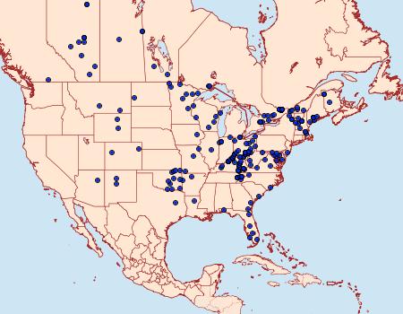 Distribution Data for Euclidia cuspidea