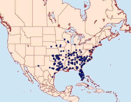 Distribution Data for Caenurgia chloropha