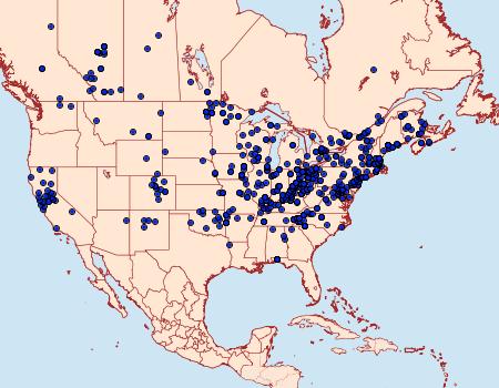 Distribution Data for Caenurgina crassiuscula