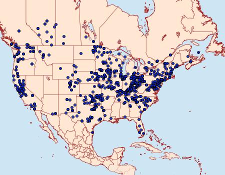 Distribution Data for Caenurgina erechtea