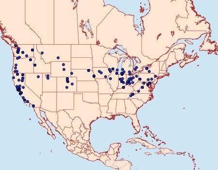 Distribution Data for Agonopterix alstroemeriana