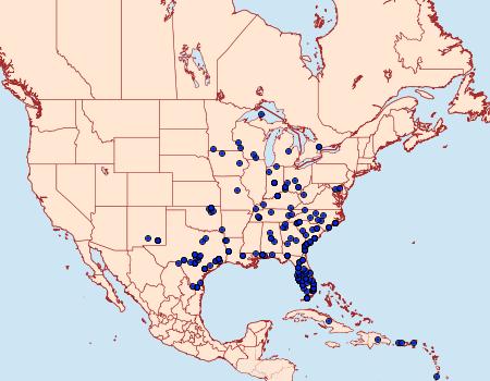 Distribution Data for Mocis latipes