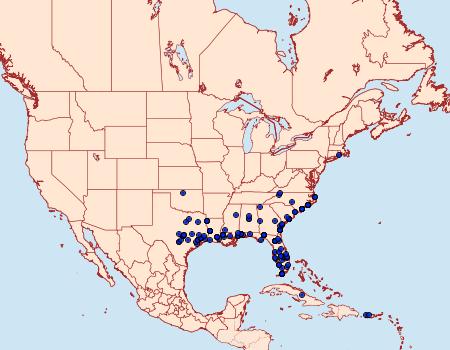 Distribution Data for Mocis marcida