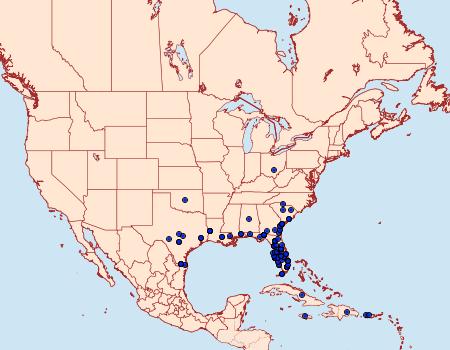 Distribution Data for Mocis disseverans