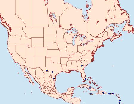 Distribution Data for Ptichodis immunis