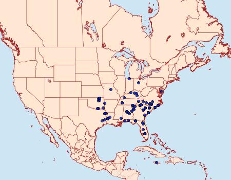 Distribution Data for Ptichodis herbarum