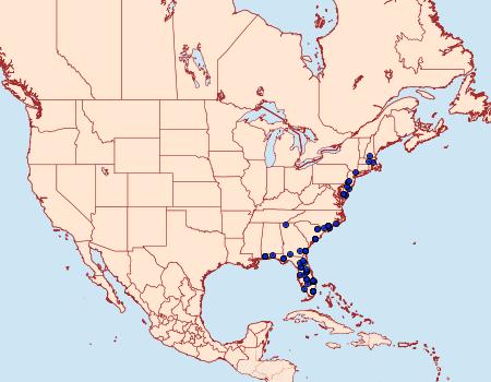 Distribution Data for Argyrostrotis quadrifilaris