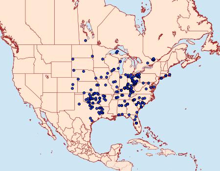 Distribution Data for Argyrostrotis anilis