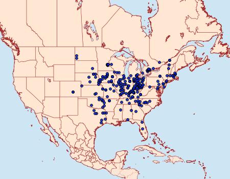 Distribution Data for Catocala innubens