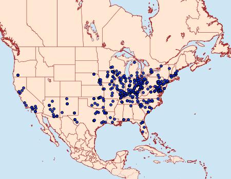 Distribution Data for Catocala piatrix