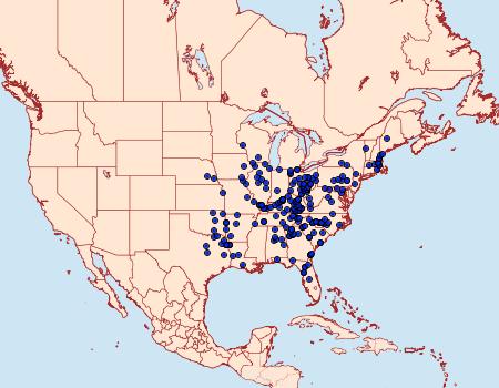 Distribution Data for Catocala epione