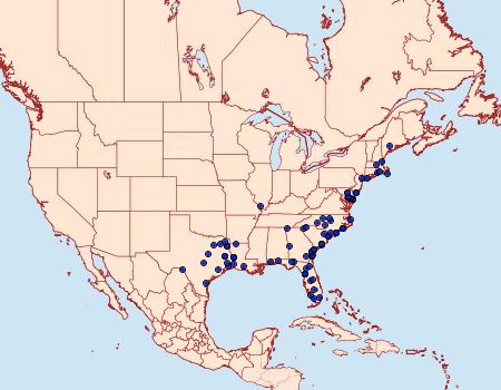 Distribution Data for Catocala muliercula