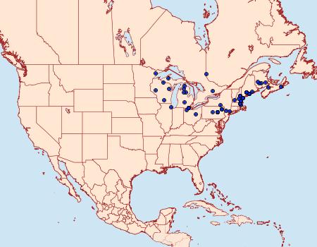 Distribution Data for Catocala antinympha