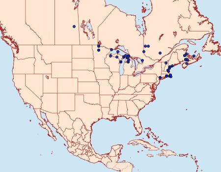 Distribution Data for Catocala badia