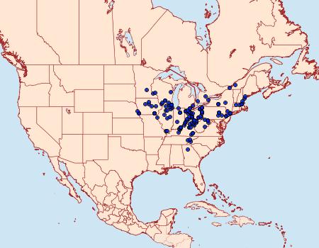 Distribution Data for Catocala habilis