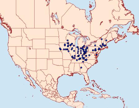 Distribution Data for Catocala serena