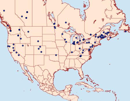 Distribution Data for Agonopterix canadensis