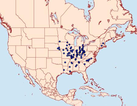 Distribution Data for Catocala robinsonii