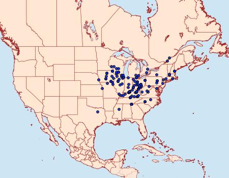 Distribution Data for Catocala judith