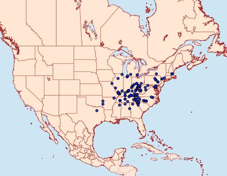 Distribution Data for Catocala flebilis