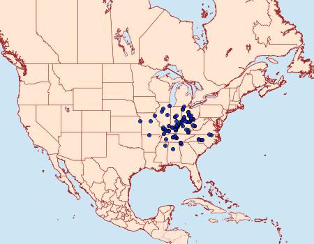 Distribution Data for Catocala angusi