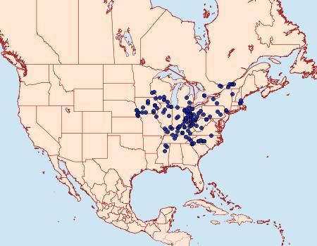 Distribution Data for Catocala obscura