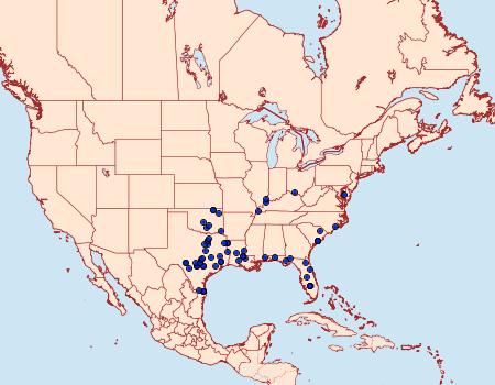 Distribution Data for Catocala agrippina