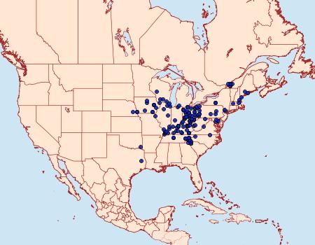 Distribution Data for Catocala retecta