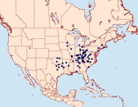 Distribution Data for Catocala dejecta