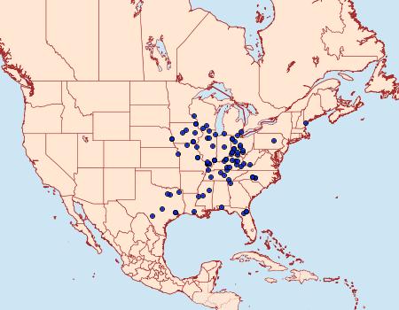 Distribution Data for Catocala insolabilis